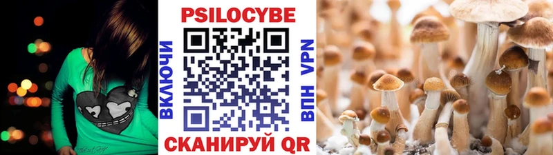 Псилоцибиновые грибы мицелий  Чаплыгин 